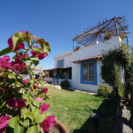 Santerra, Valle De Guadalupe Zewnętrze zdjęcie