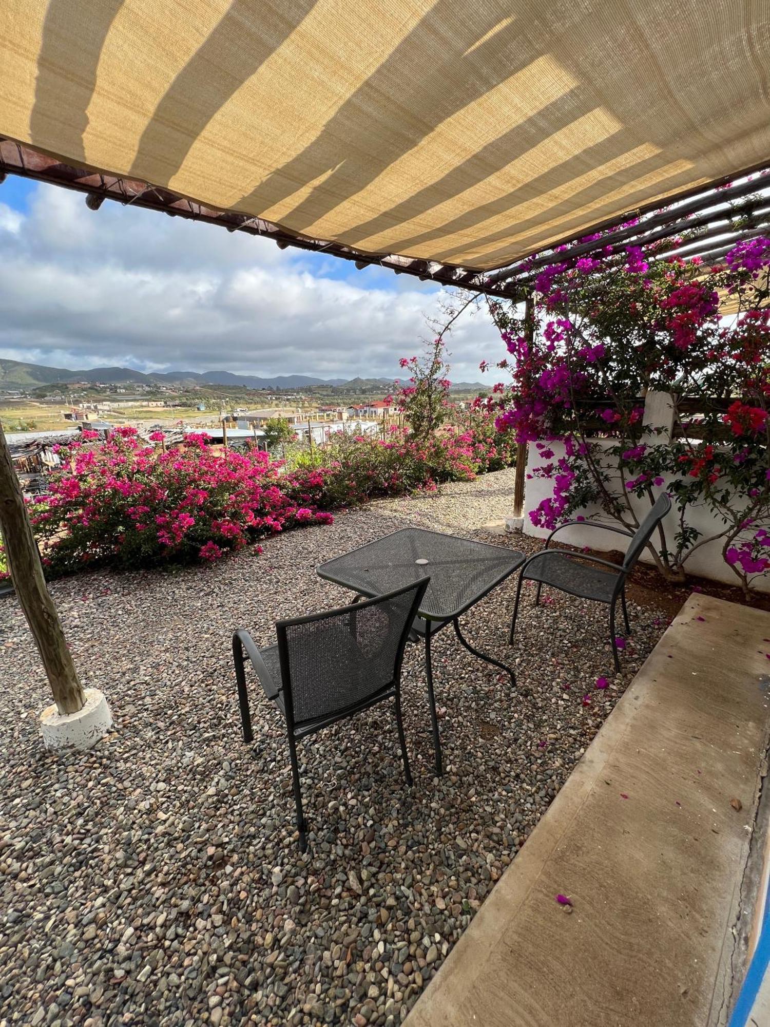 Santerra, Valle De Guadalupe Zewnętrze zdjęcie