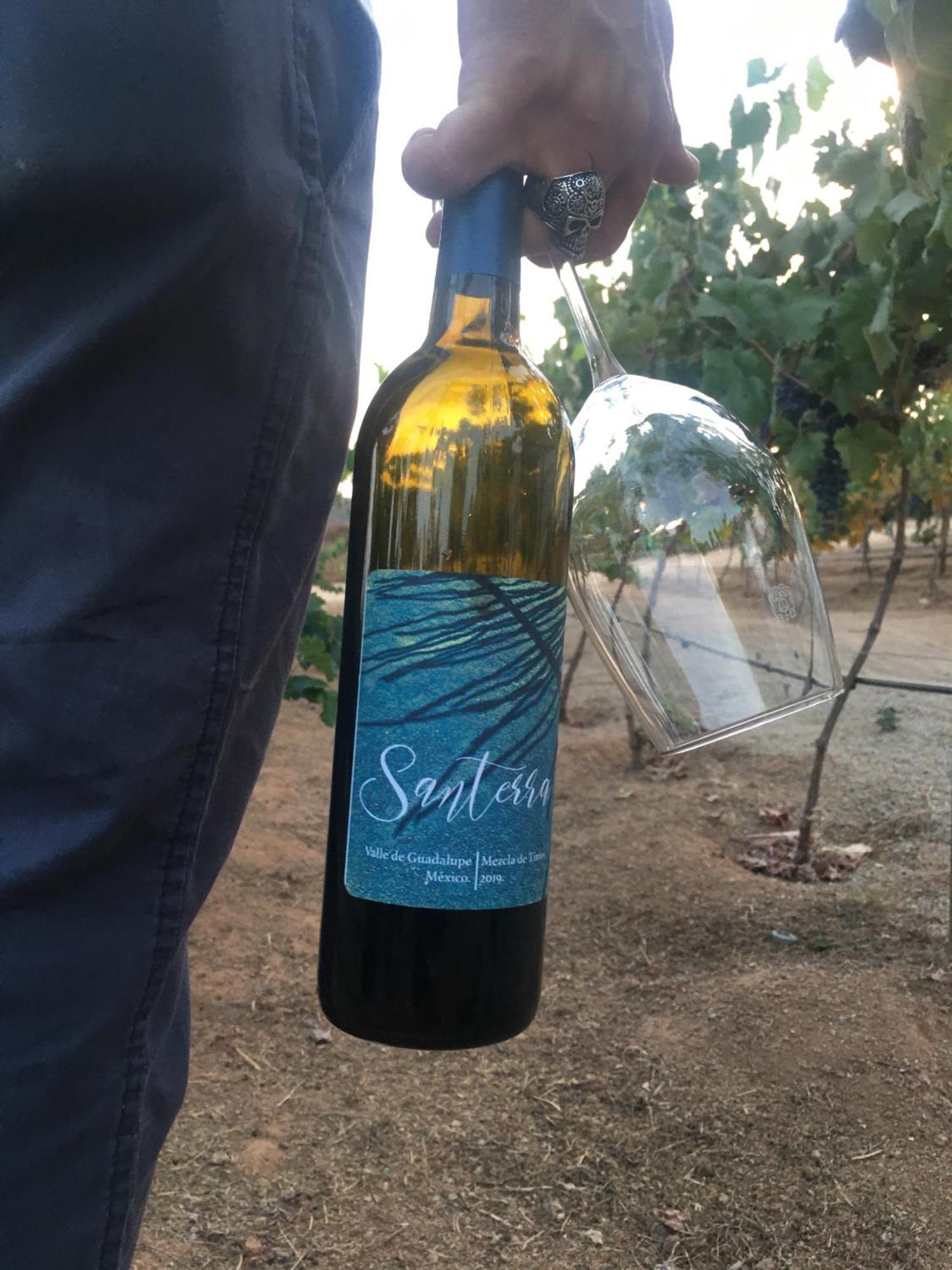 Santerra, Valle De Guadalupe Zewnętrze zdjęcie
