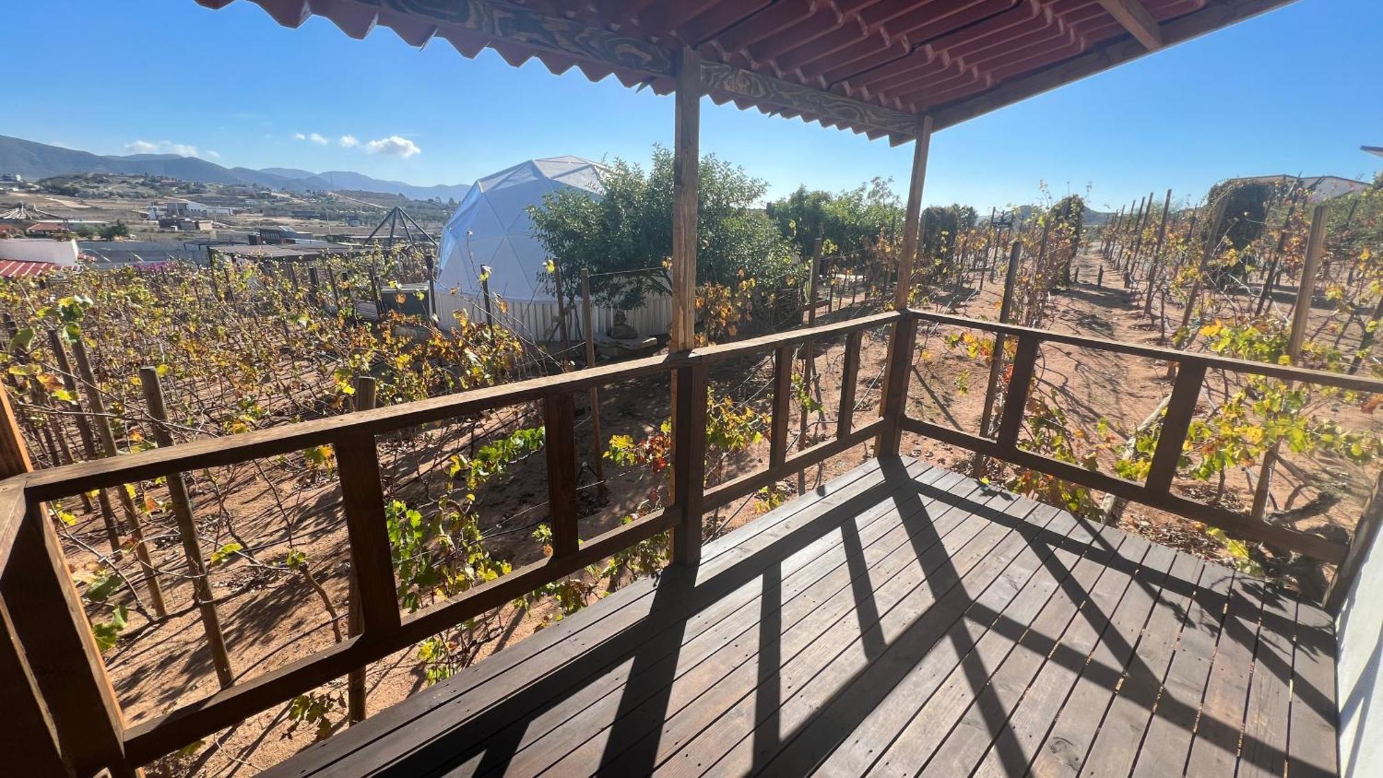 Santerra, Valle De Guadalupe Zewnętrze zdjęcie