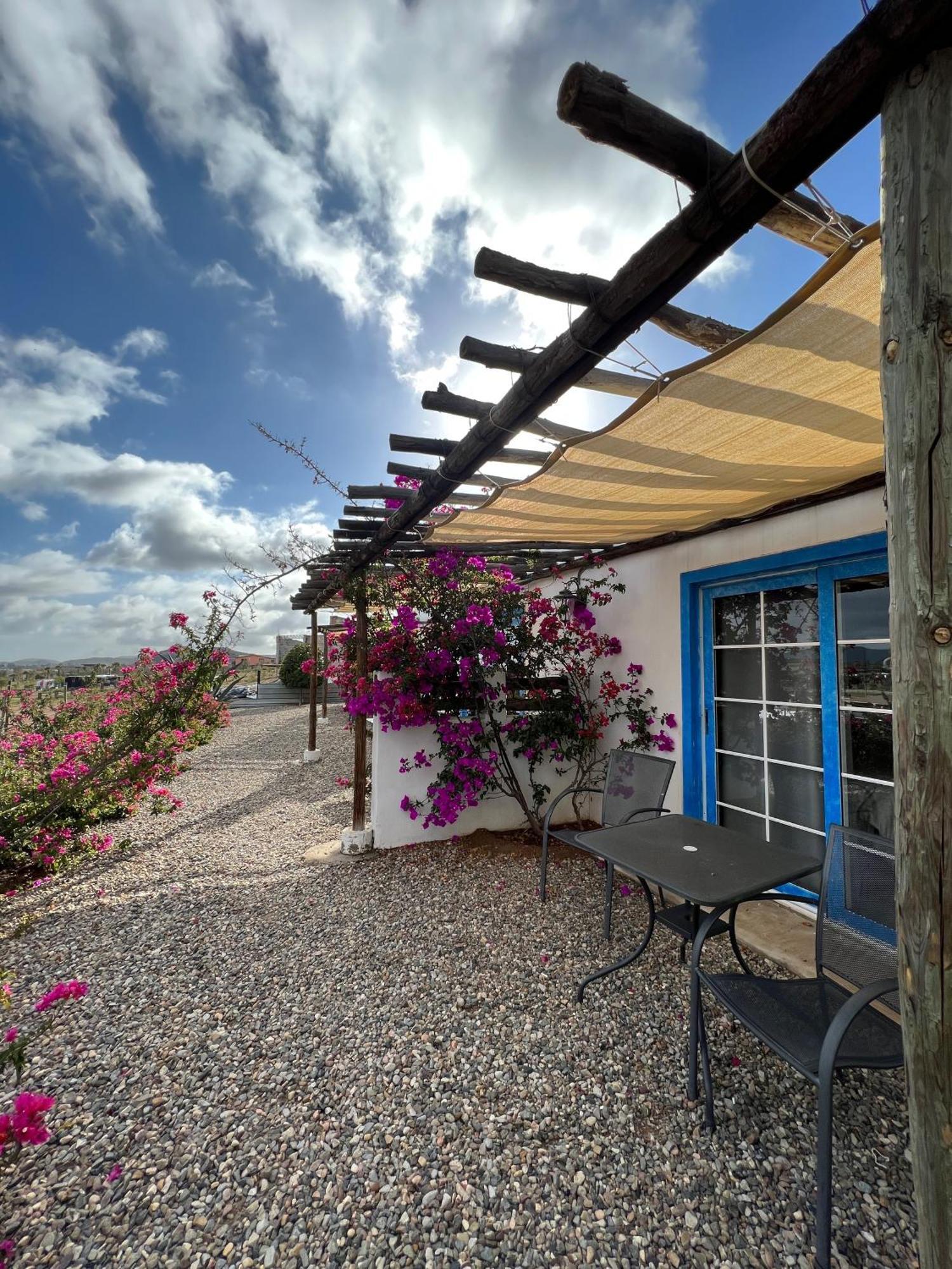 Santerra, Valle De Guadalupe Zewnętrze zdjęcie