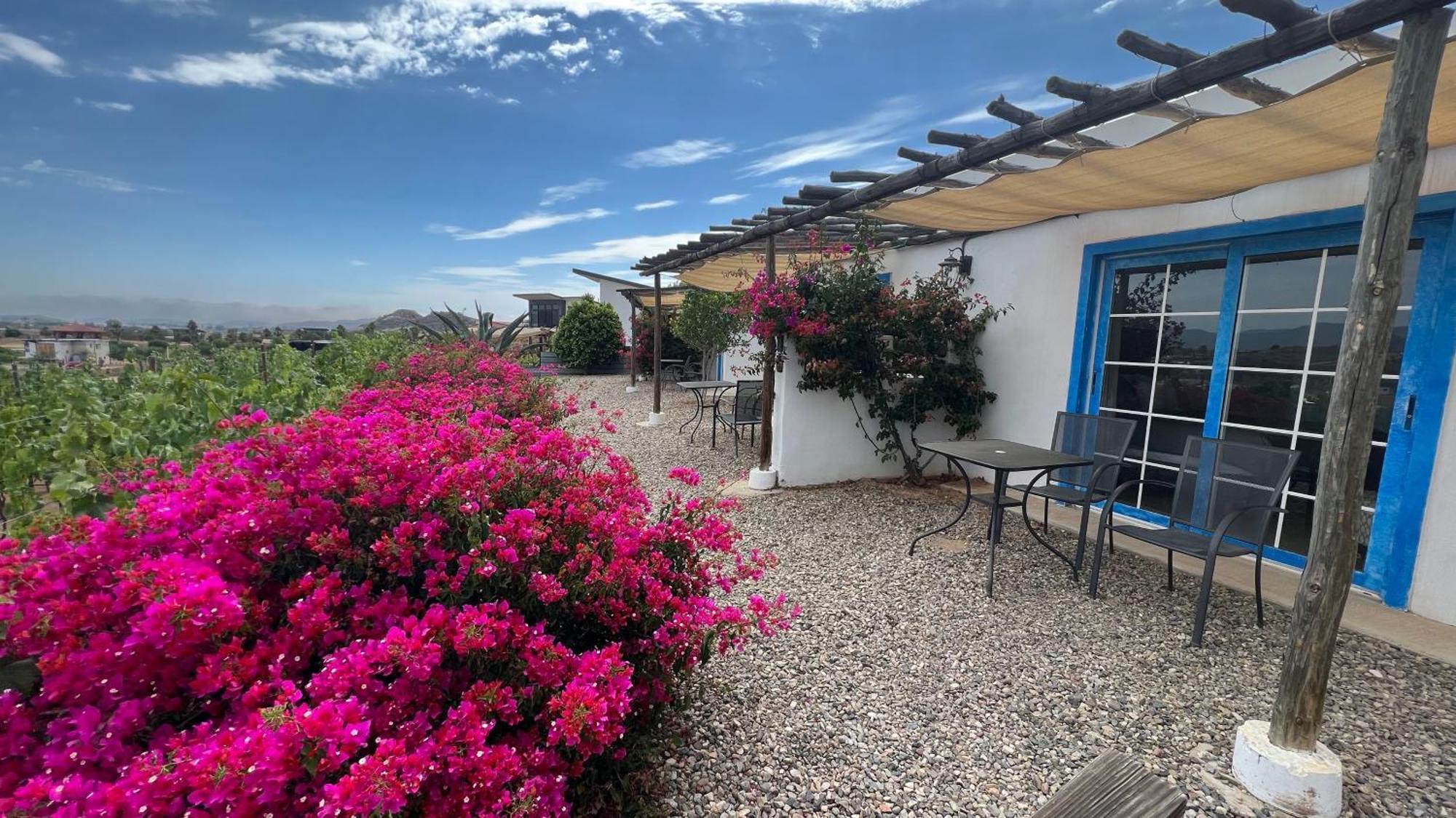 Santerra, Valle De Guadalupe Zewnętrze zdjęcie