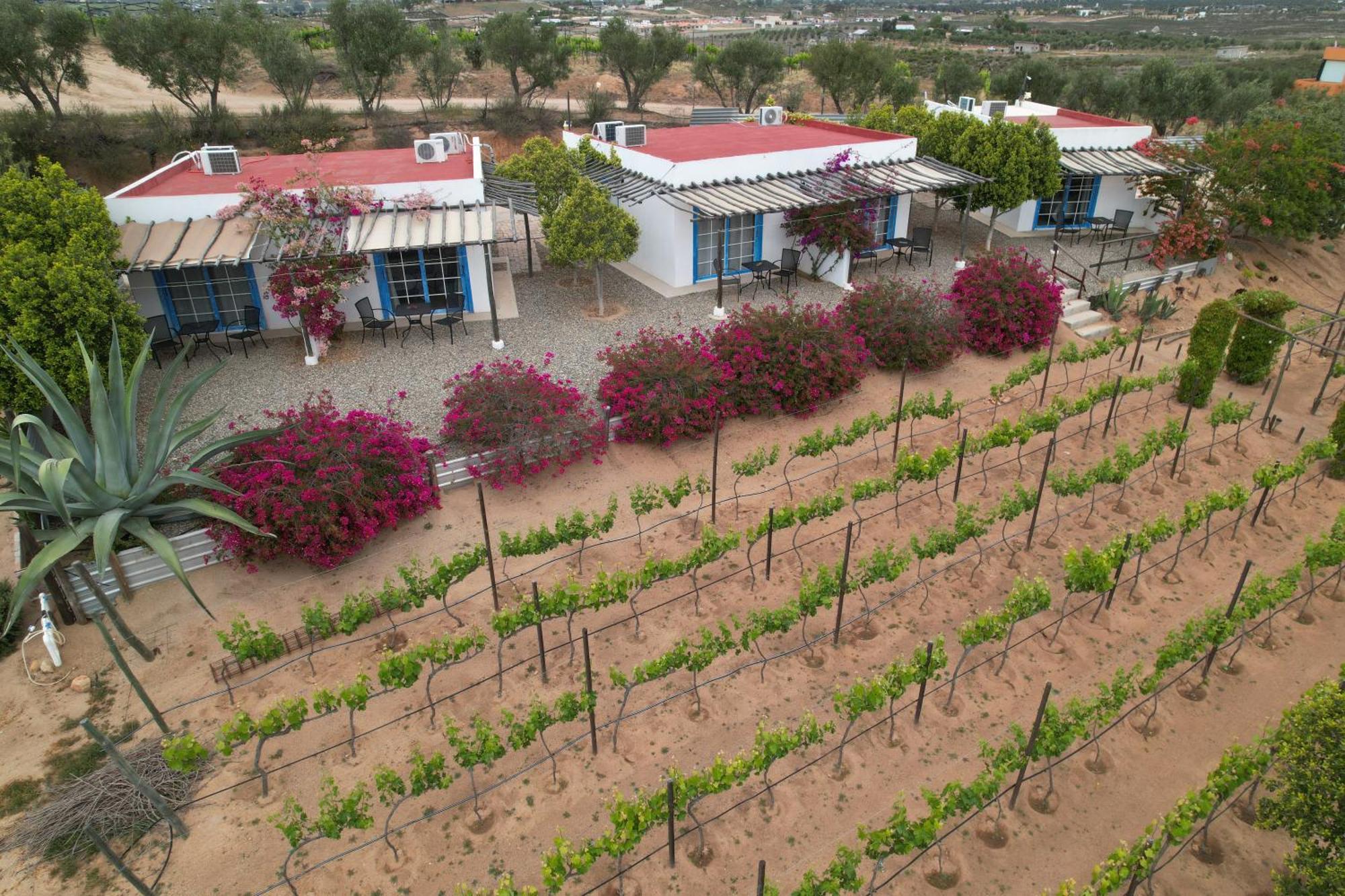 Santerra, Valle De Guadalupe Zewnętrze zdjęcie