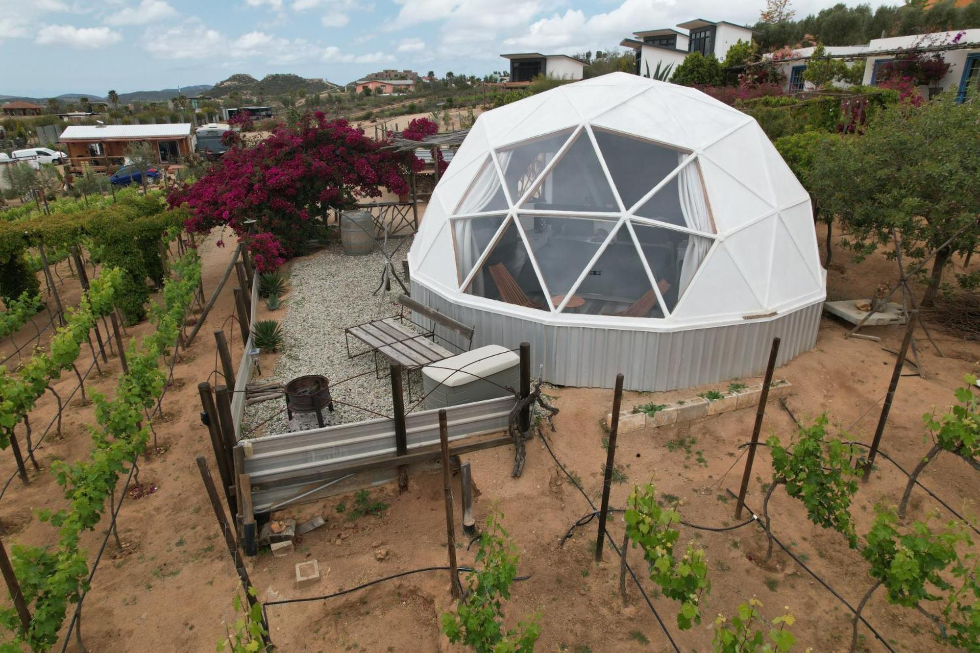 Santerra, Valle De Guadalupe Zewnętrze zdjęcie