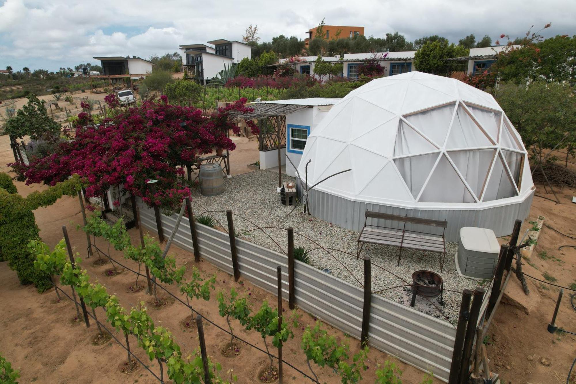 Santerra, Valle De Guadalupe Zewnętrze zdjęcie